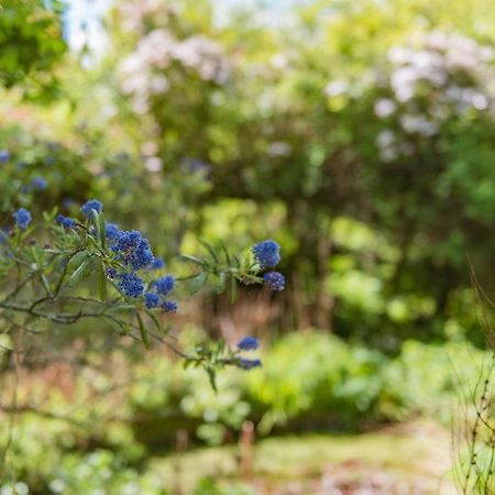 Walnut Tree Cottage By Bloom Stays Faversham Esterno foto