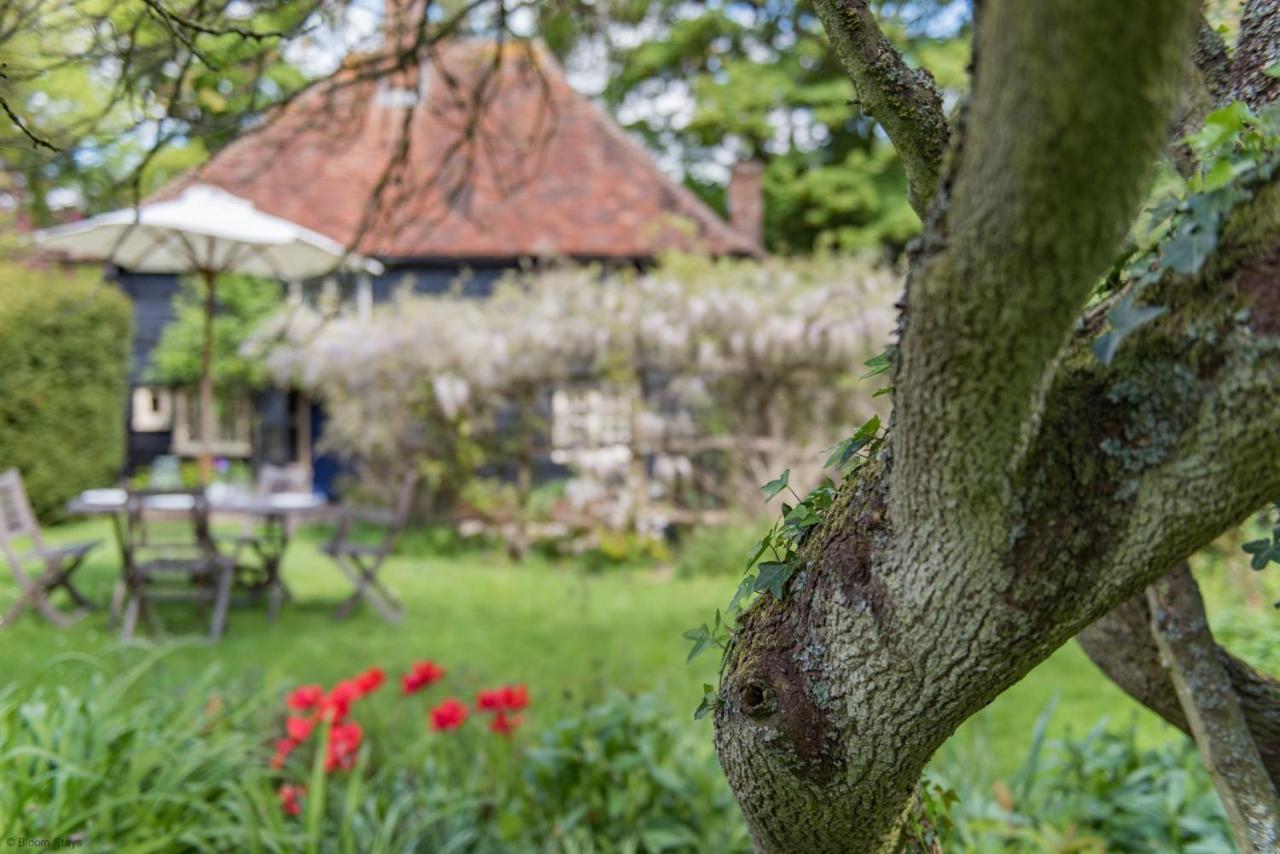 Walnut Tree Cottage By Bloom Stays Faversham Esterno foto