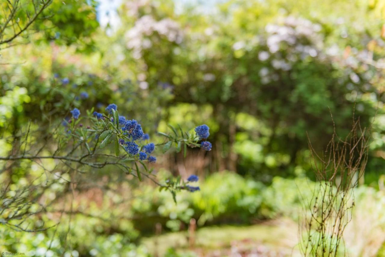 Walnut Tree Cottage By Bloom Stays Faversham Esterno foto